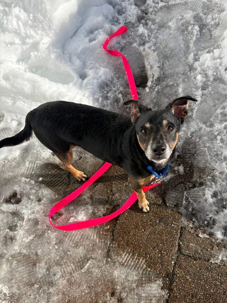 Egypt — thumbnail 4