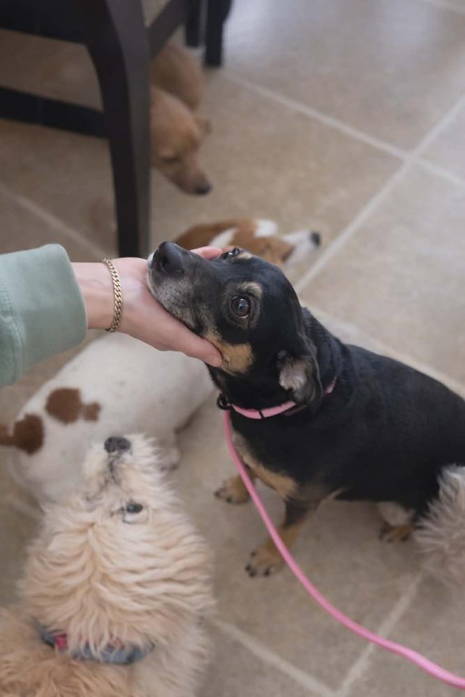 Egypt — thumbnail 5