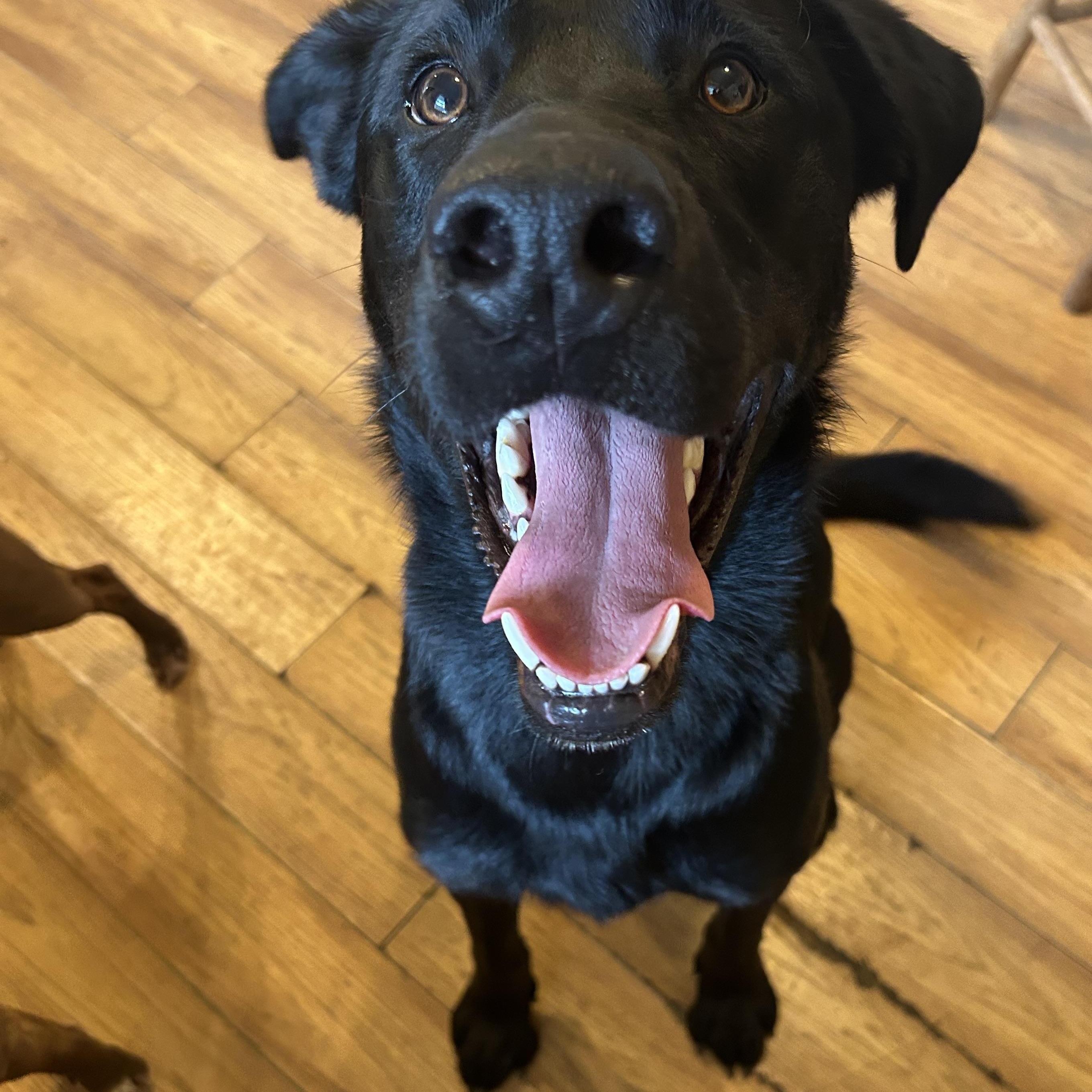 Oscar