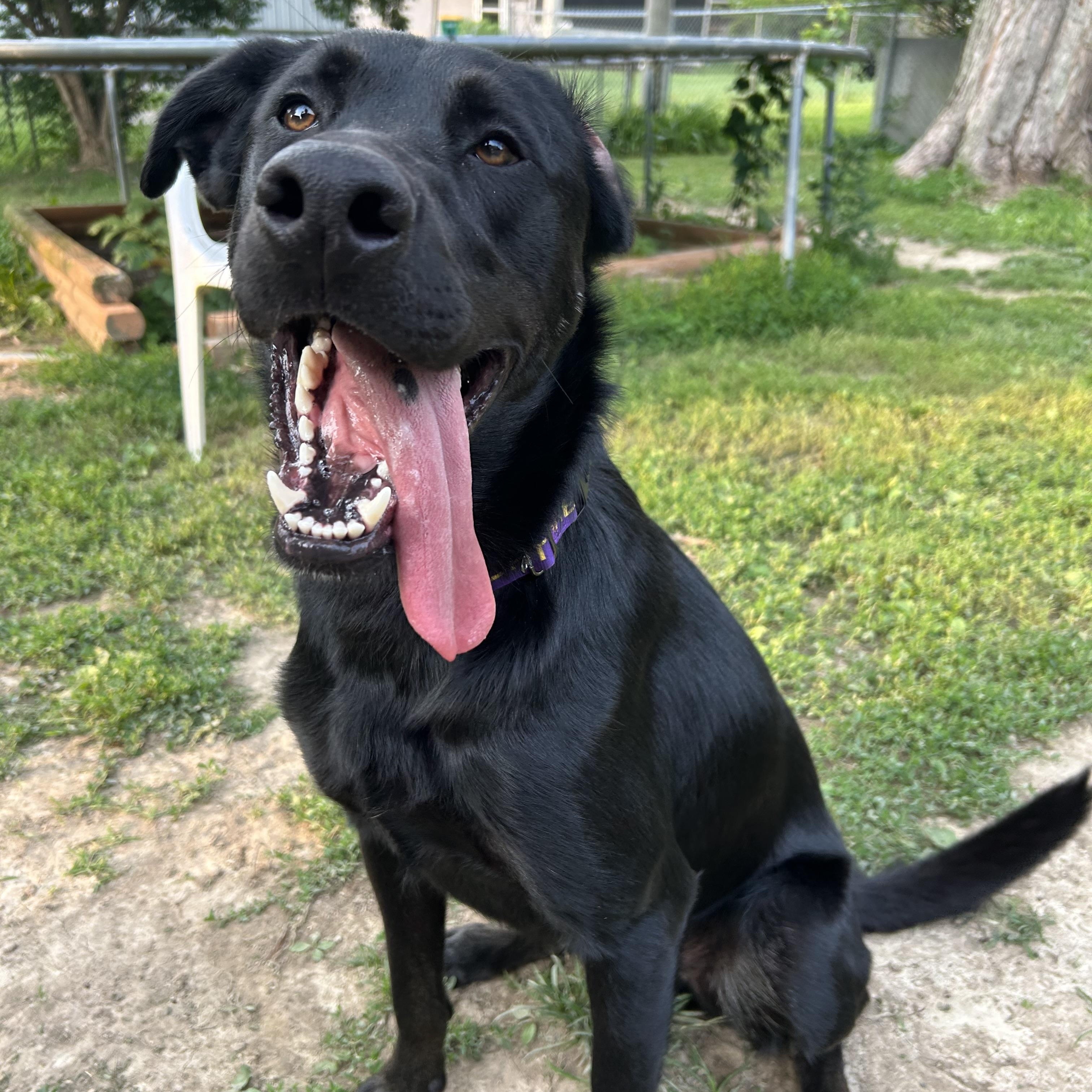 Oscar