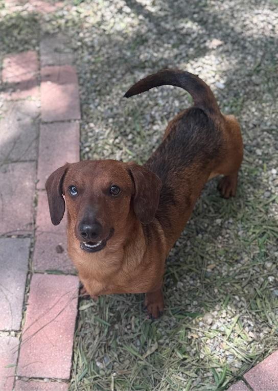 Fritz