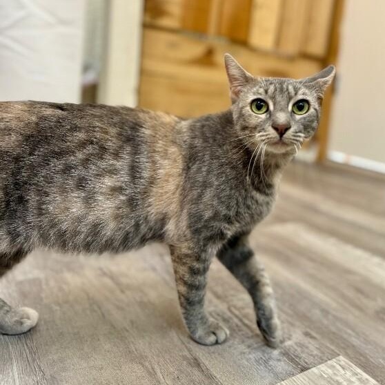 Campbell Clark — thumbnail 3