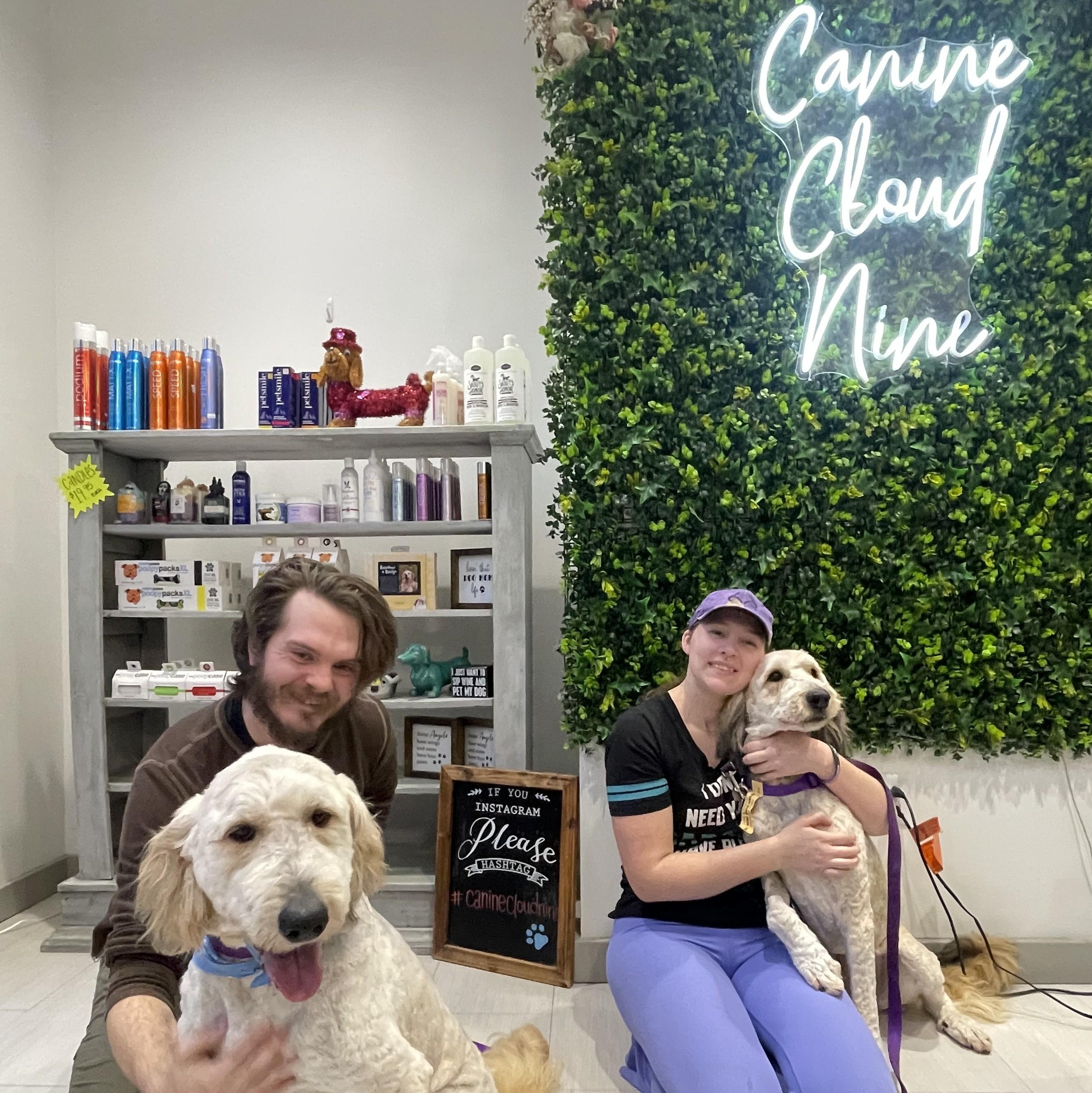 Maggie and Mollie - Pyrdoodles - Walk Only or 6'Fence Needed, a Adoptable mixed breed in Indianapolis, IN image 5/6