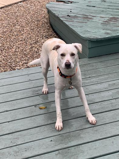 Sailor — thumbnail 2