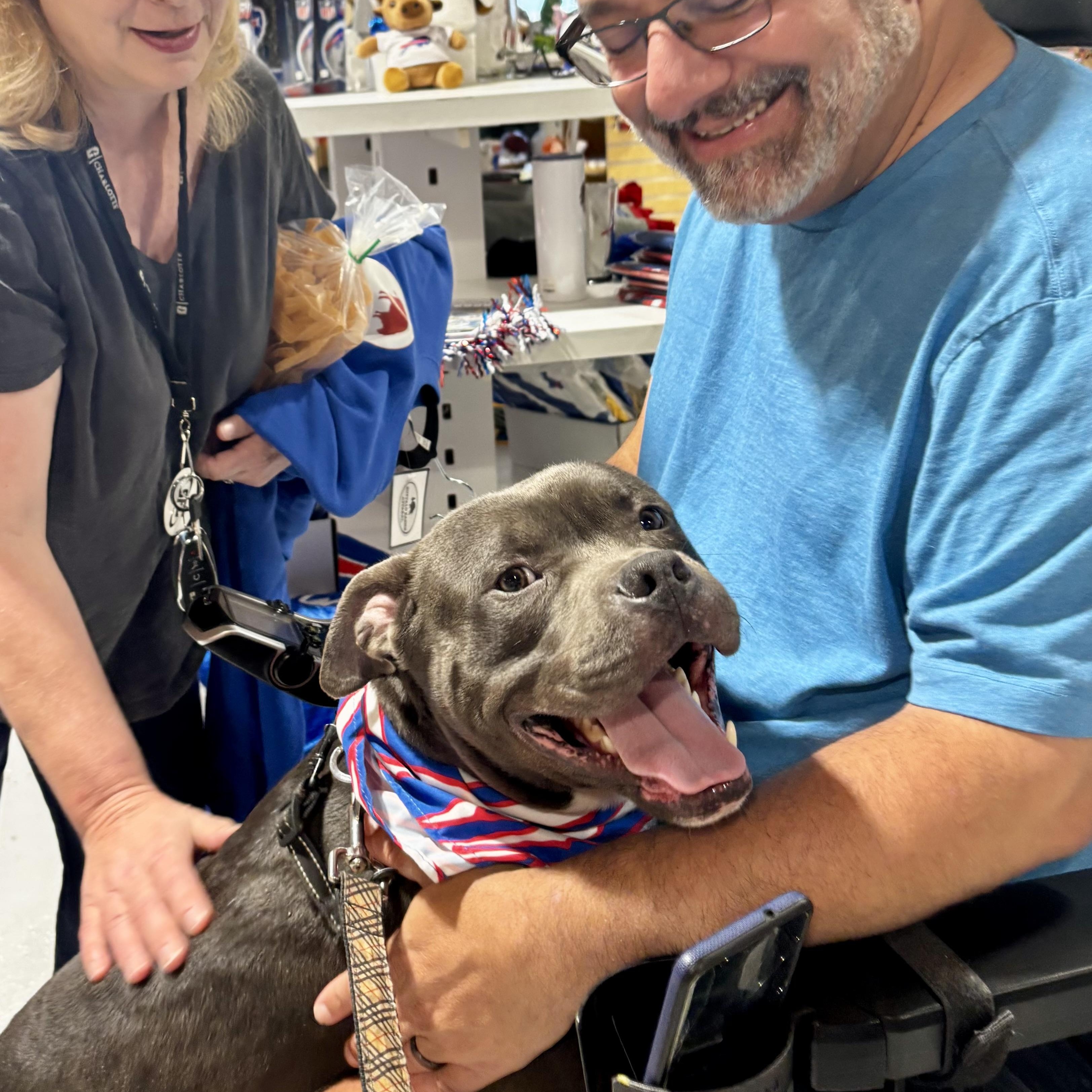 Gelato, a ADOPTABLE mixed breed in Buffalo, NY image 3/6