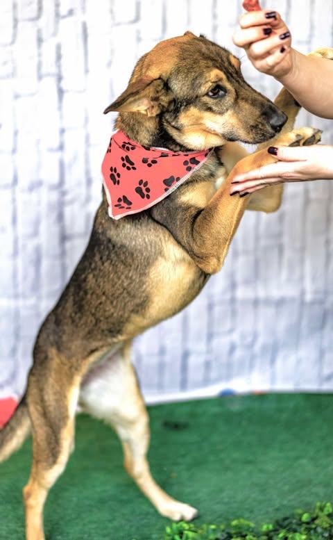 Princess Lea — thumbnail 2