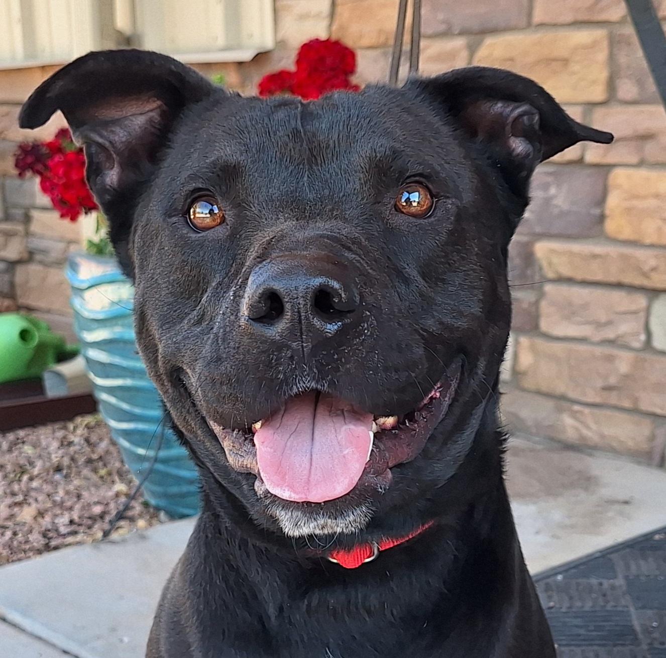 Onyx