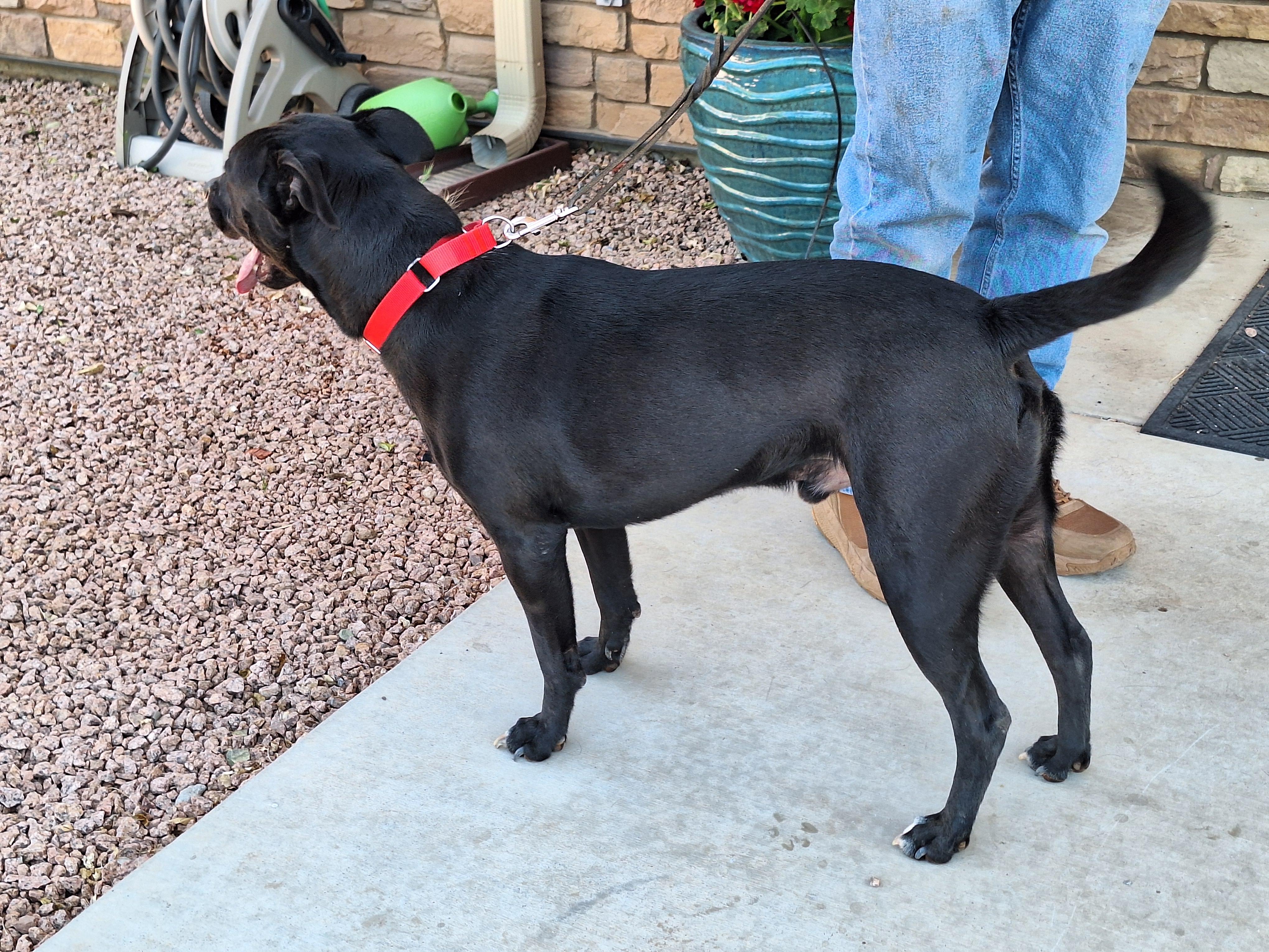 Onyx photo 5