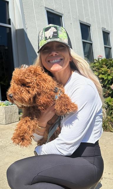 Enlarge Bingo, an adopted mixed breed in Stamford, CT image 2/6