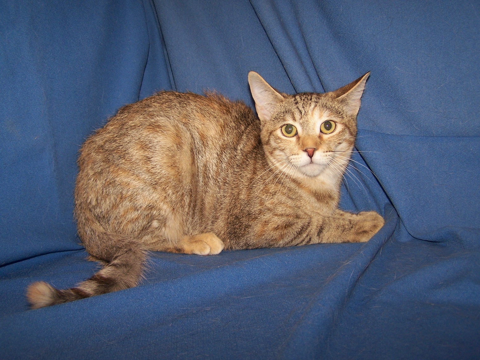 K-Helga-Helen, Young Male unknown