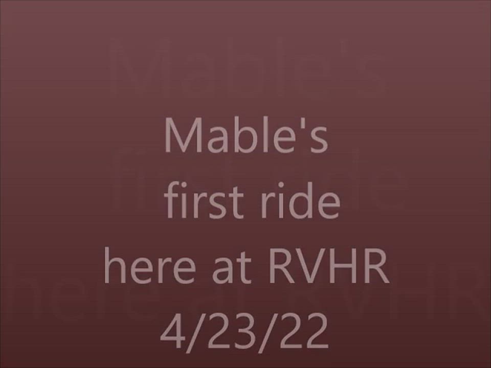 Enlarge Mable - 16 YO QH Ridable, a Adopted mixed breed in Hardy, VA video 3/5