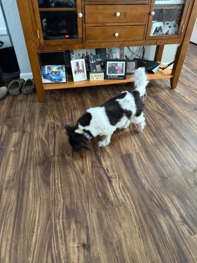 Mulan — thumbnail 2