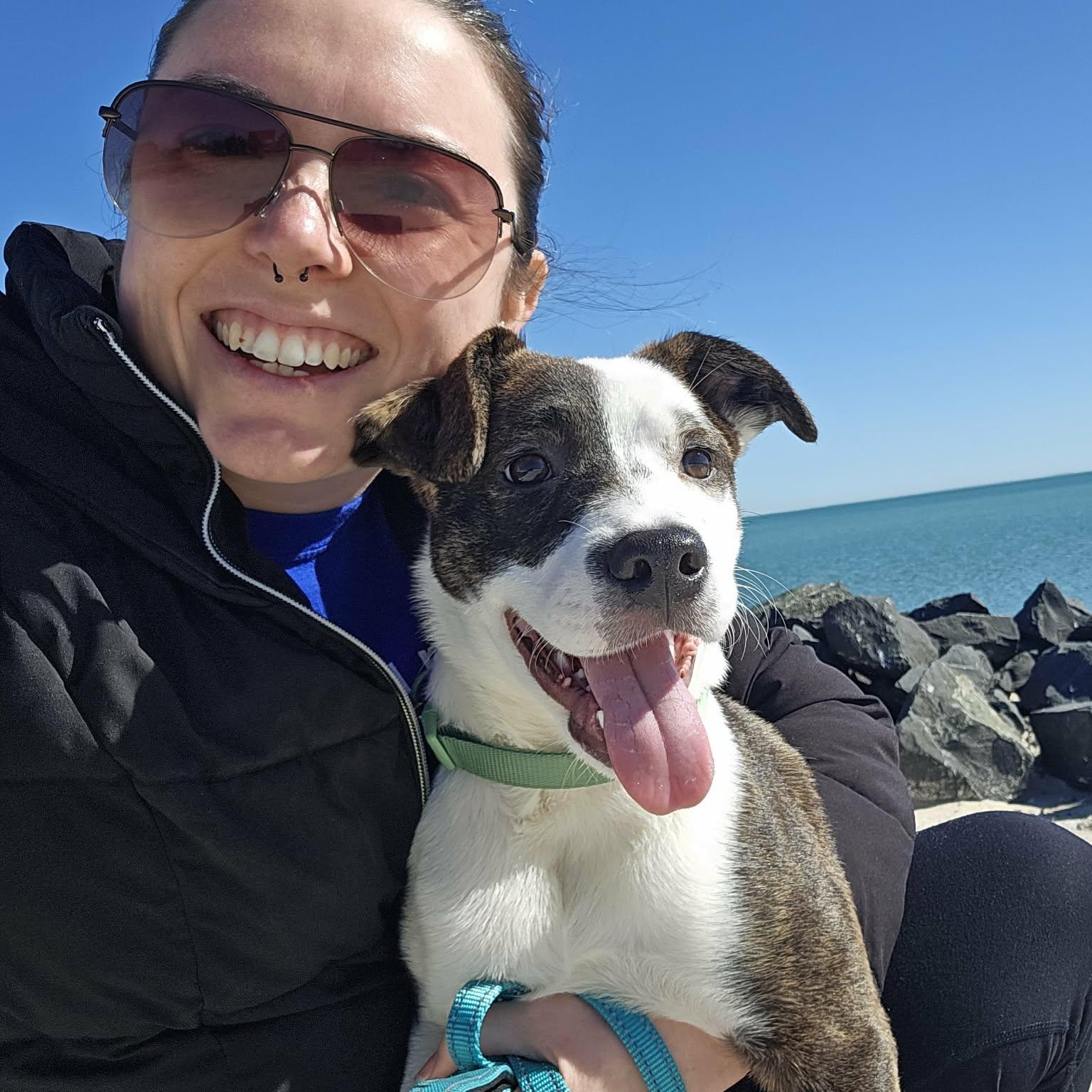 Spunky and Smart Theodora, adopted, Puppy Female Labrador Retriever & Jack Russell Terrier.