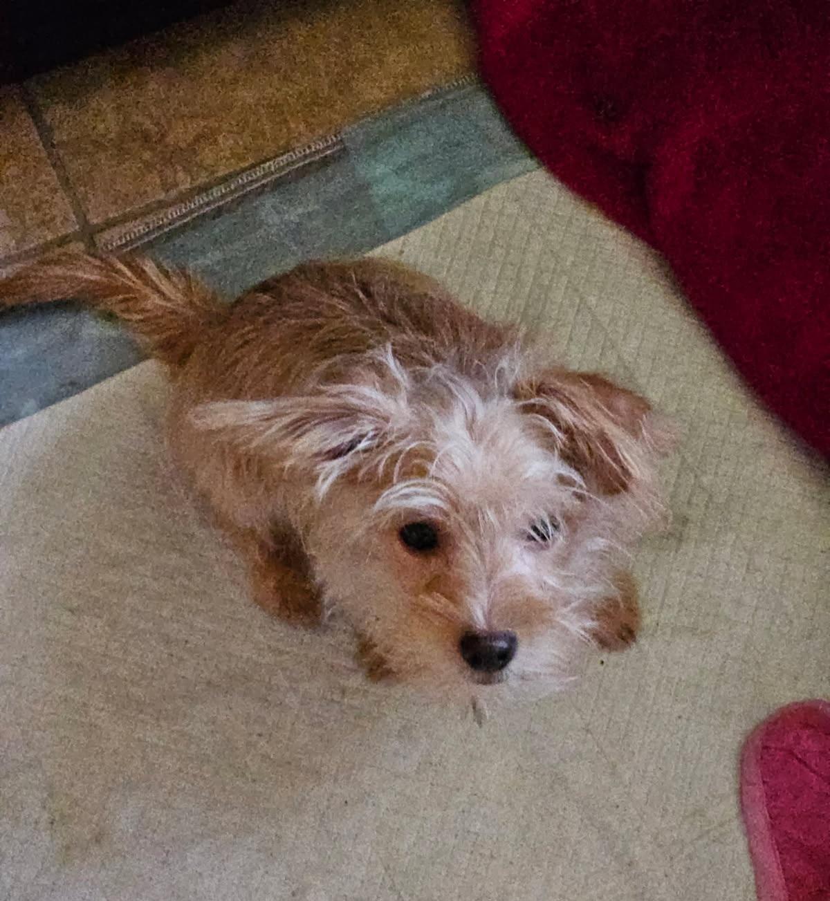 Billy Bob thumbnail 2