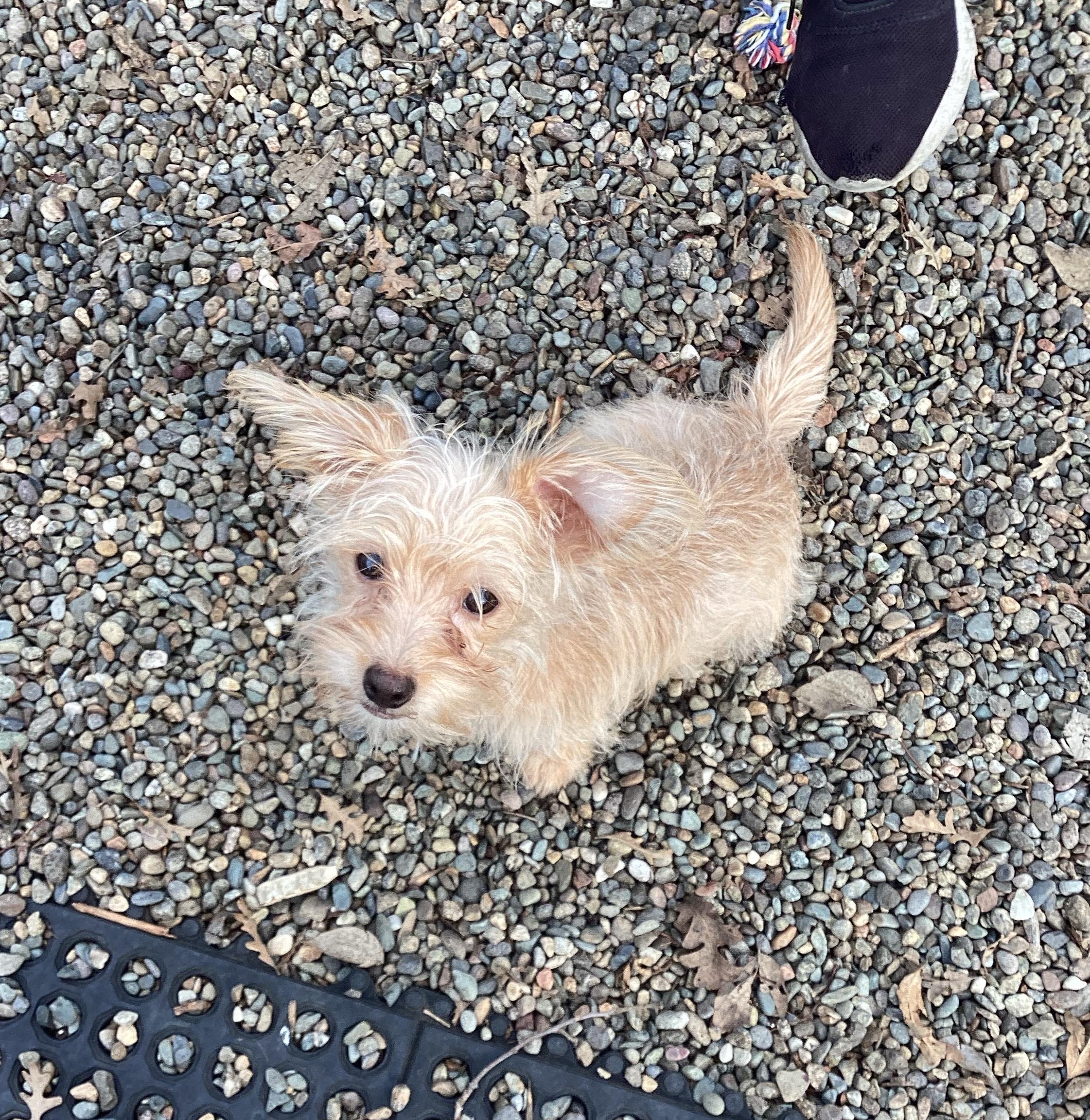 Billy Bob thumbnail 3