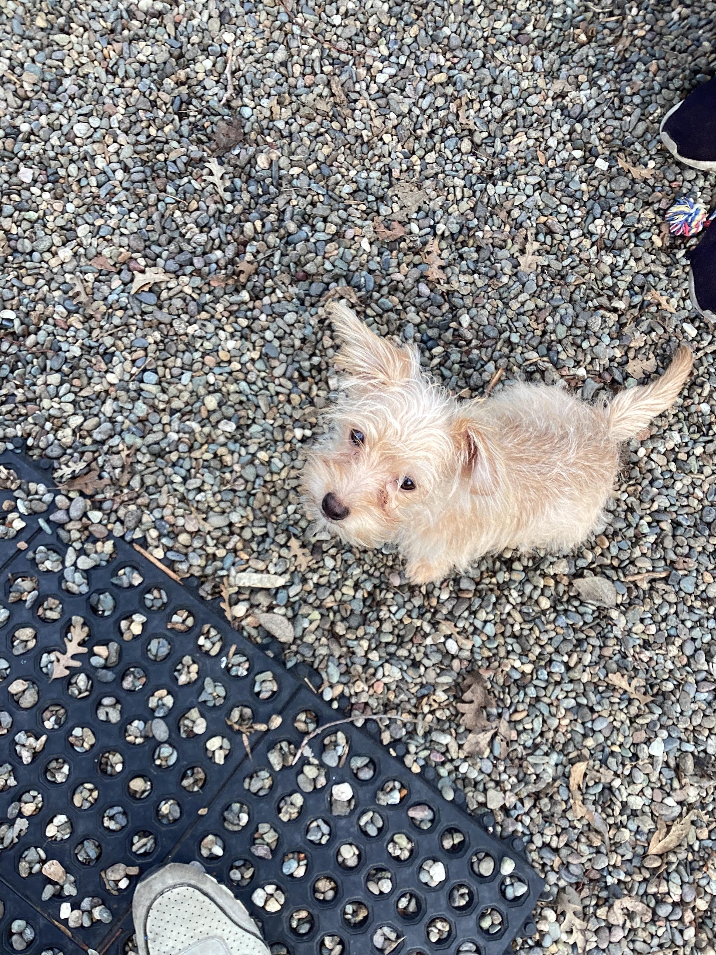 Billy Bob thumbnail 5