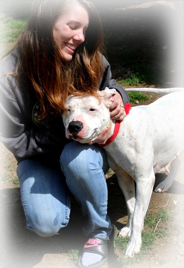 Emily, a Adoptable Pit Bull Terrier in Shippenville, PA image 4/6