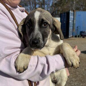 Stacy — thumbnail 4