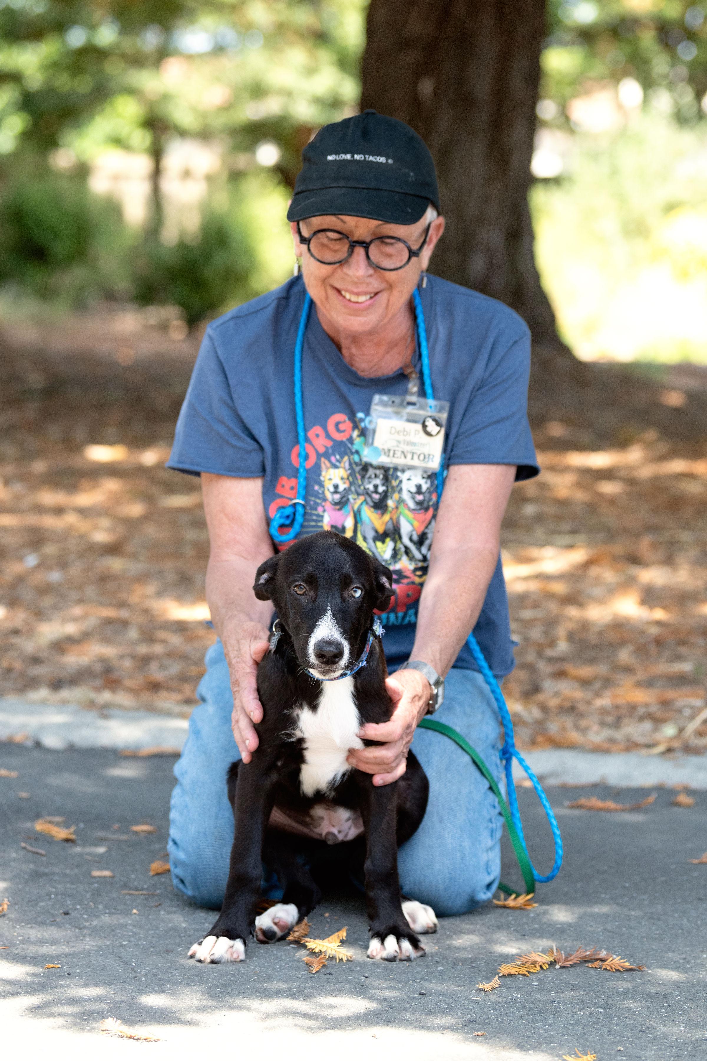 Enlarge Nachos, an adopted mixed breed in Santa Rosa, CA image 3/5
