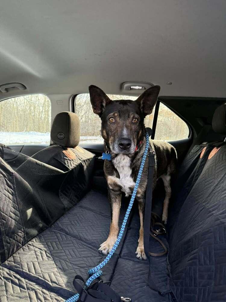 Gus Mcgee thumbnail 3