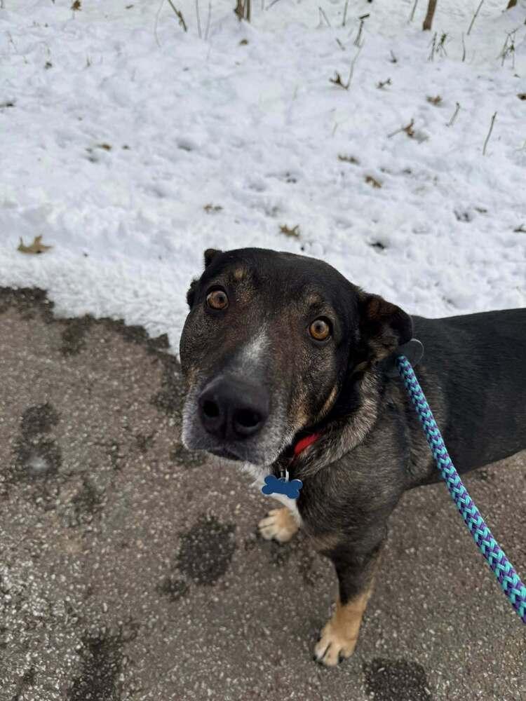 Gus Mcgee thumbnail 5