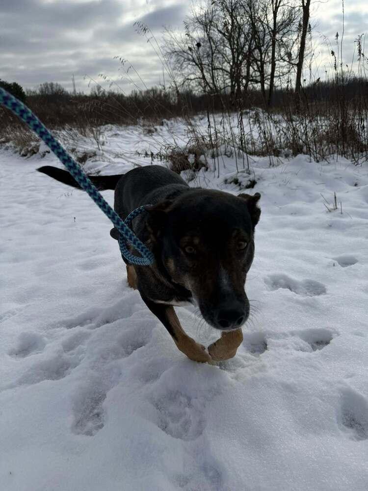 Gus Mcgee thumbnail 6