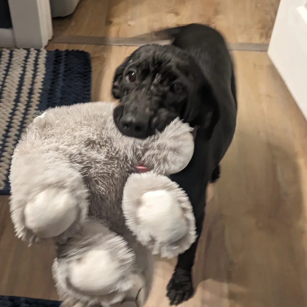 Maggie