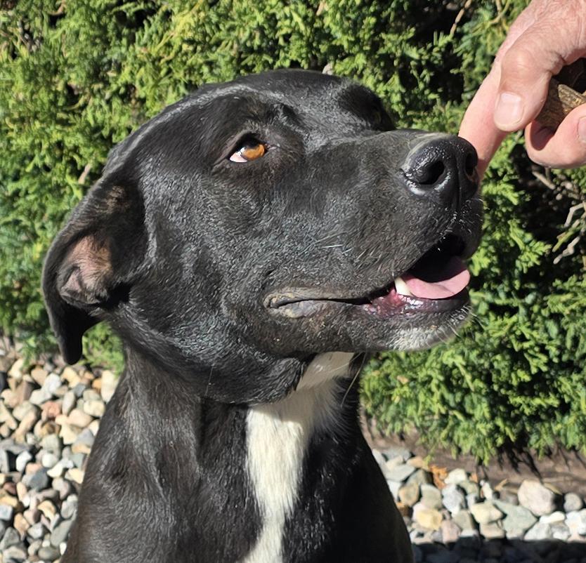 Benevolent Ms Briar Rose = LOVE !