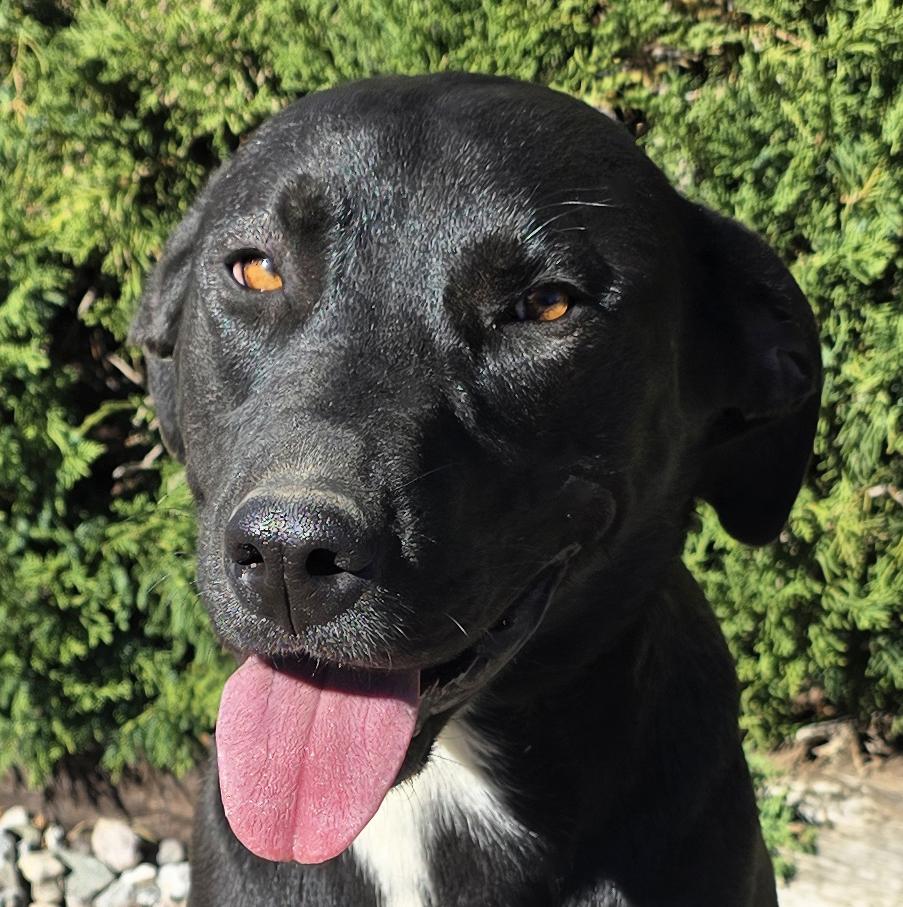 Benevolent Ms Briar Rose = LOVE !