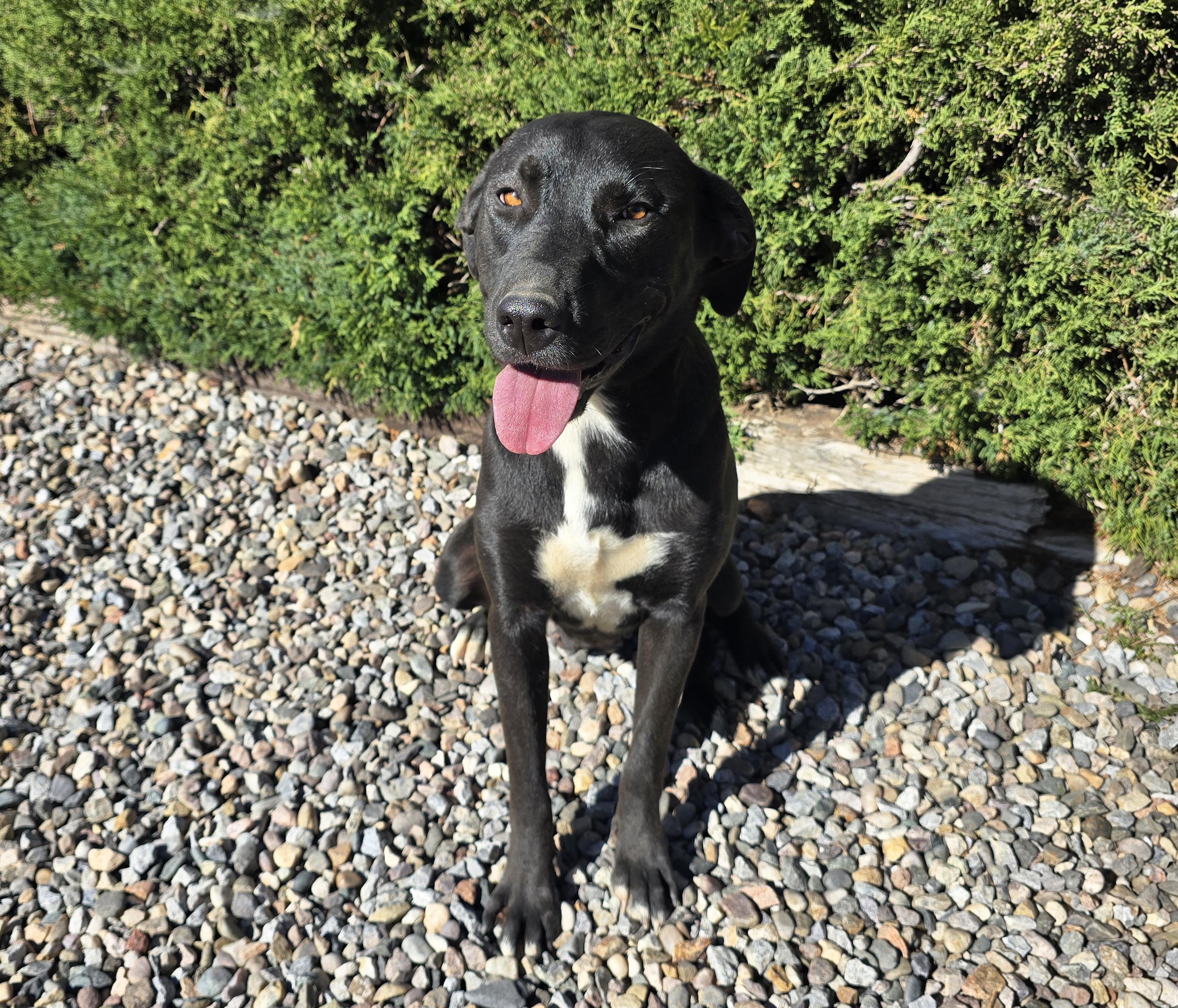 Benevolent Ms Briar Rose = LOVE !