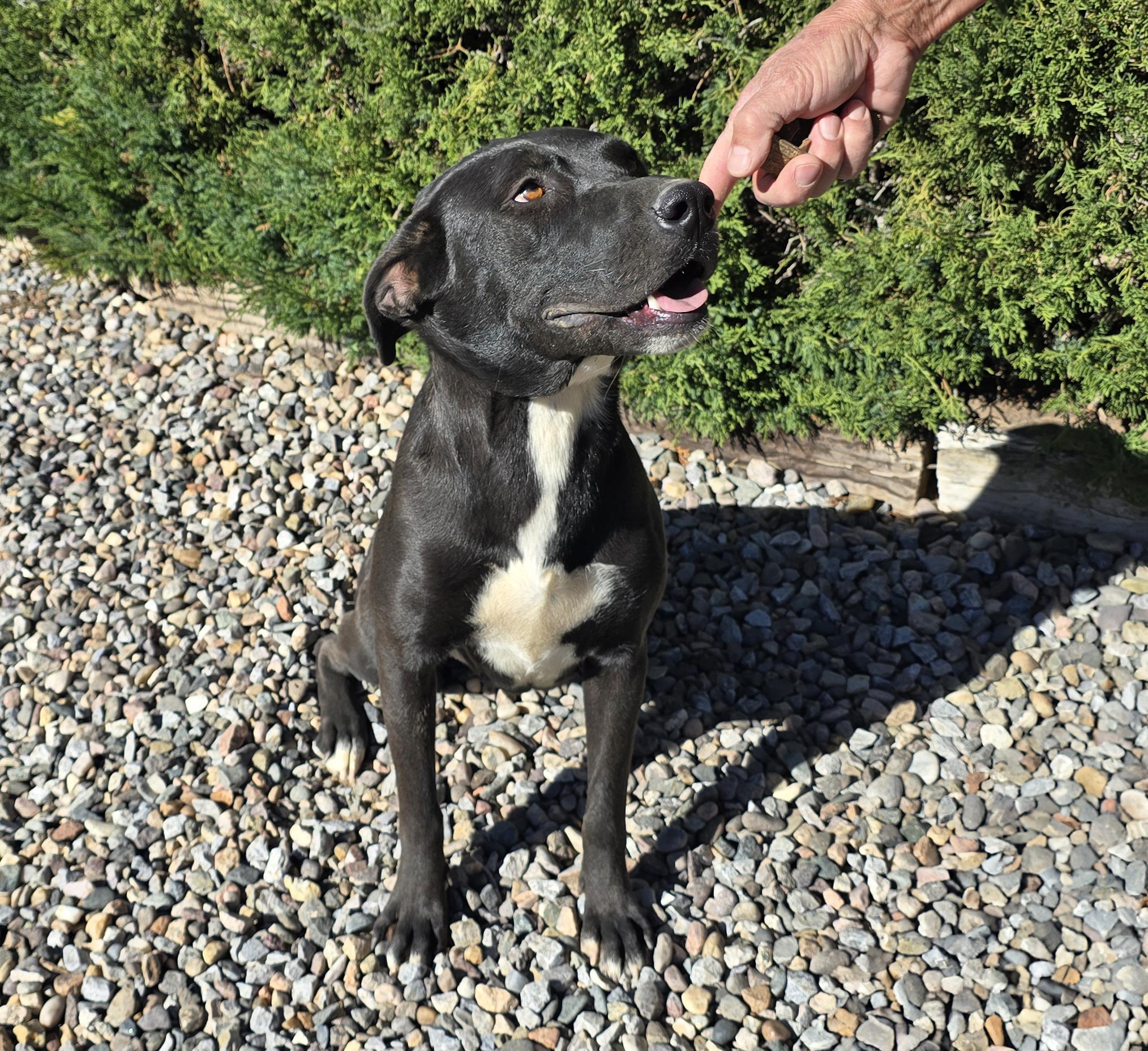 Benevolent Ms Briar Rose = LOVE !