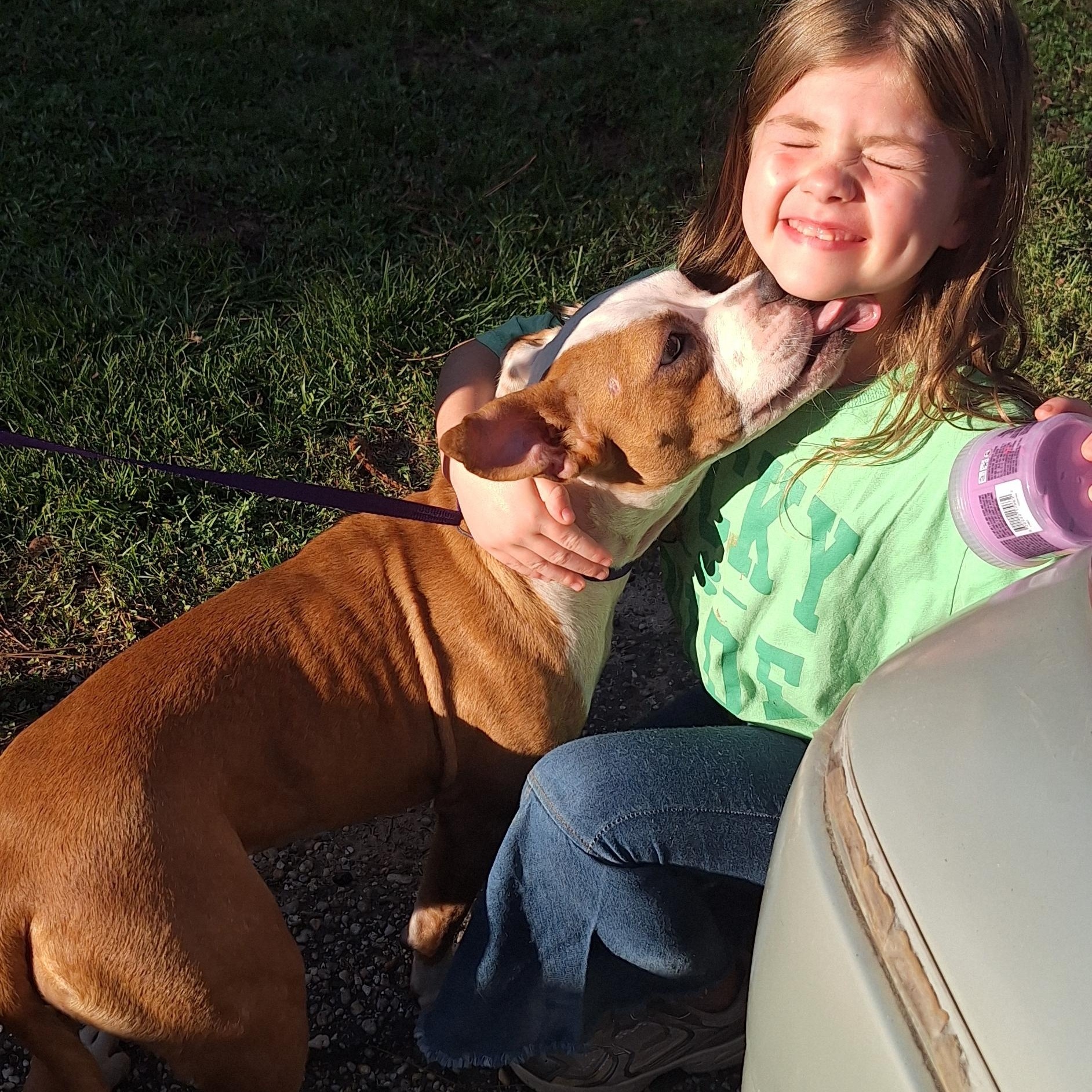 Enlarge Mee-Maw, a Adoptable mixed breed in Mobile , AL image 4/6
