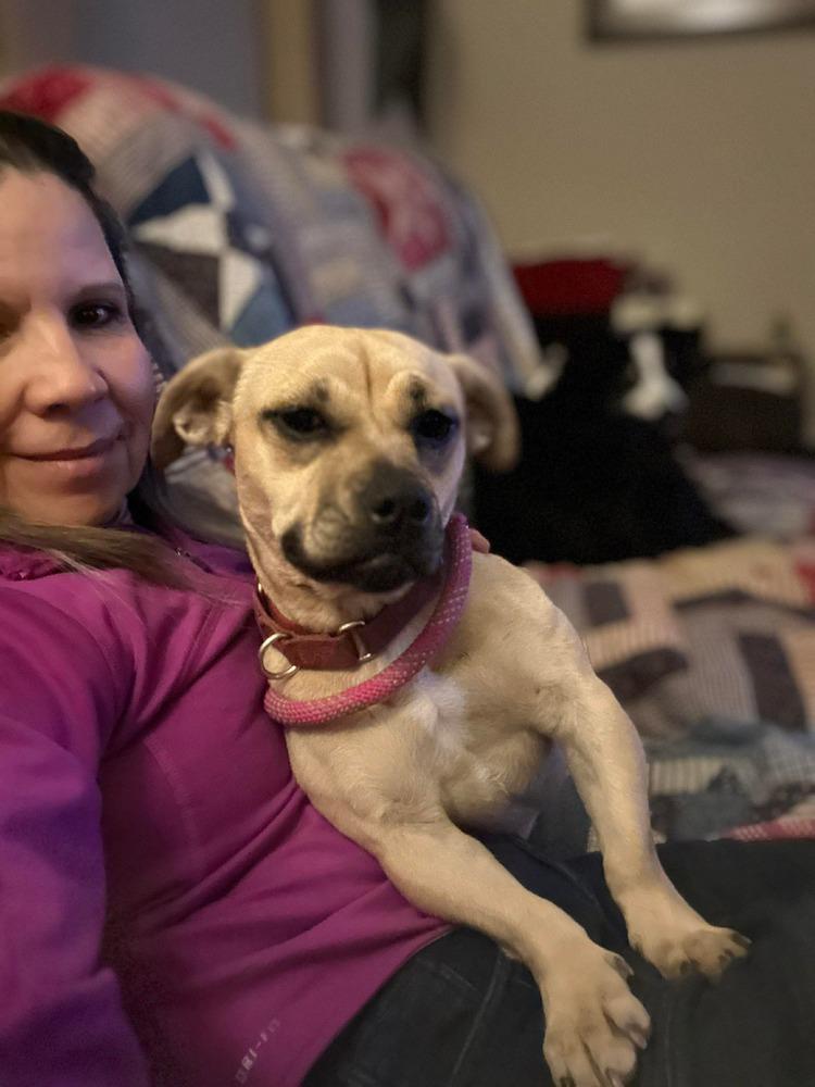 Meredith — thumbnail 2