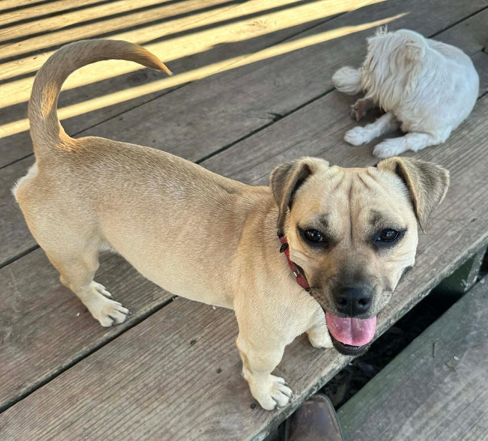 Meredith — thumbnail 3