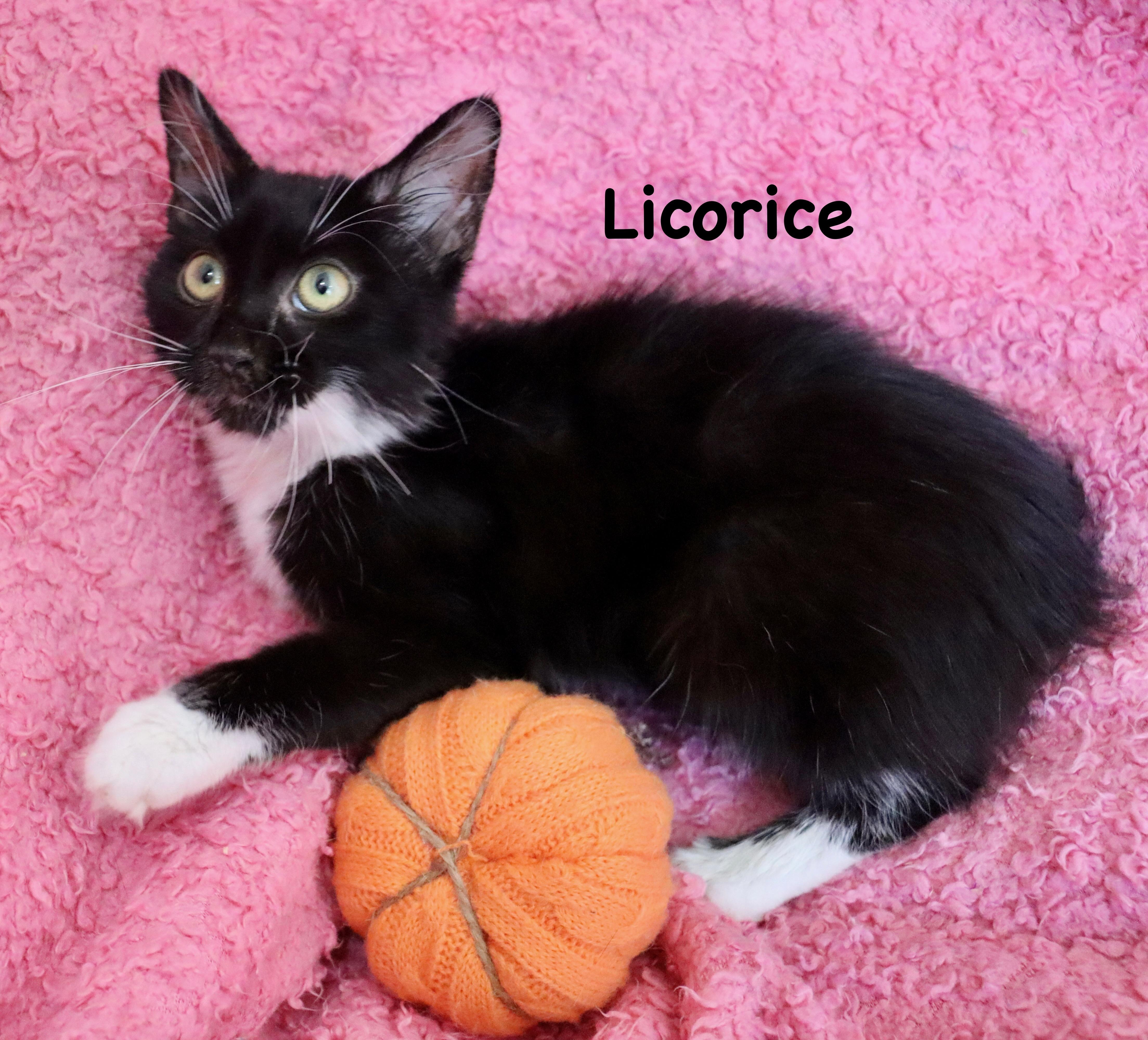 Licorice