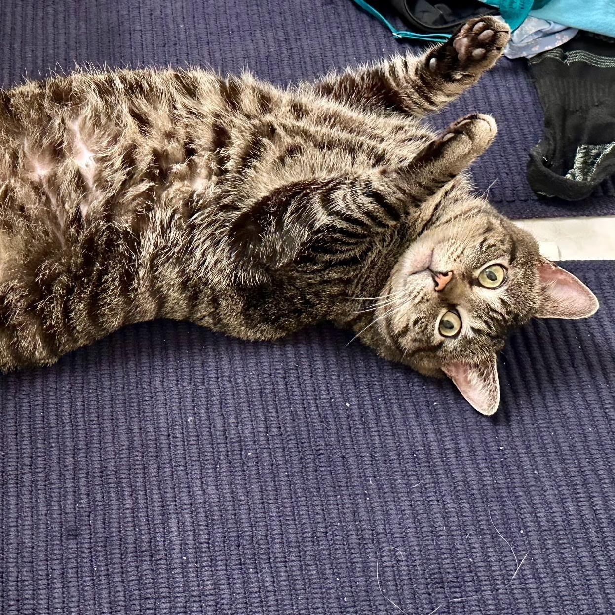 Nina