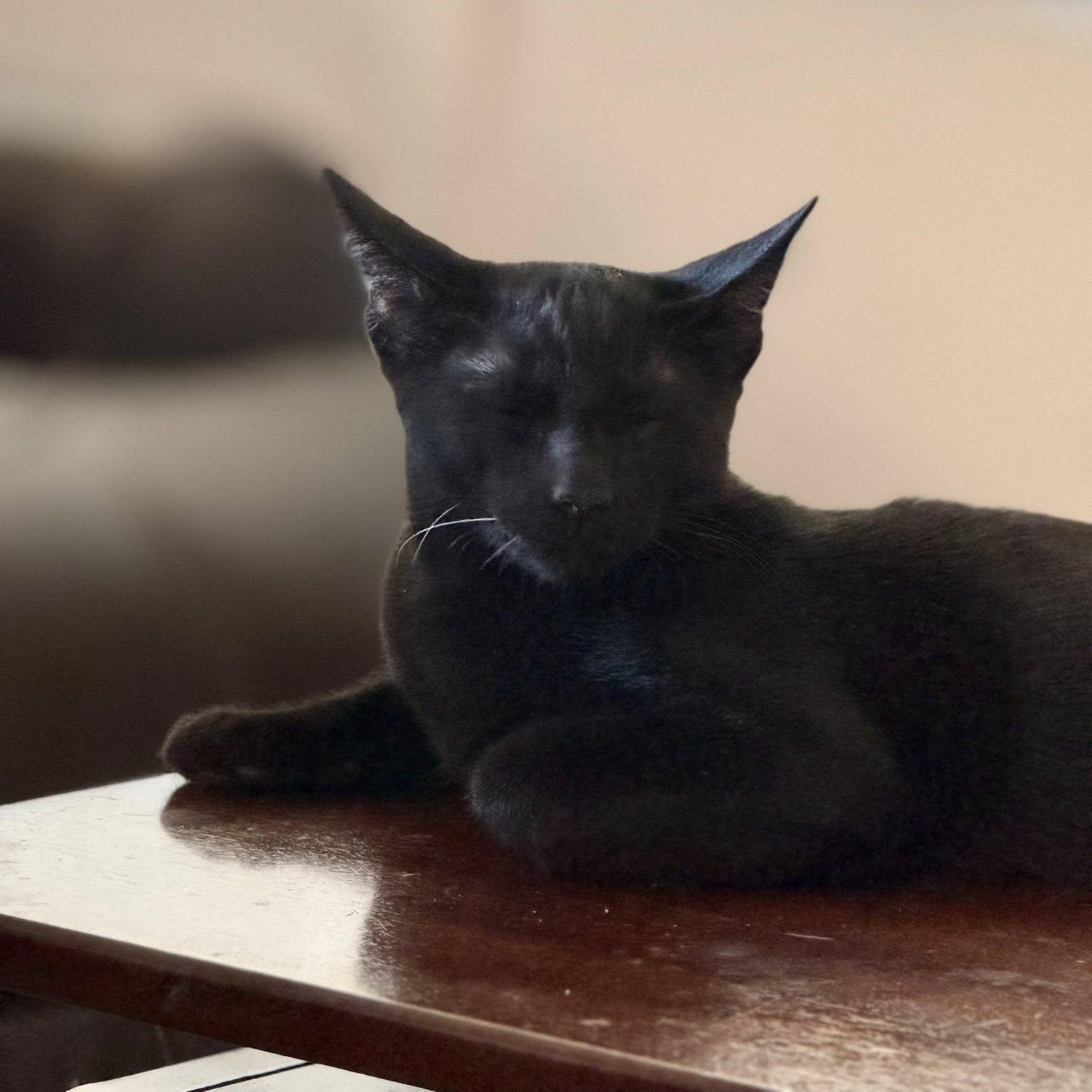 Milo