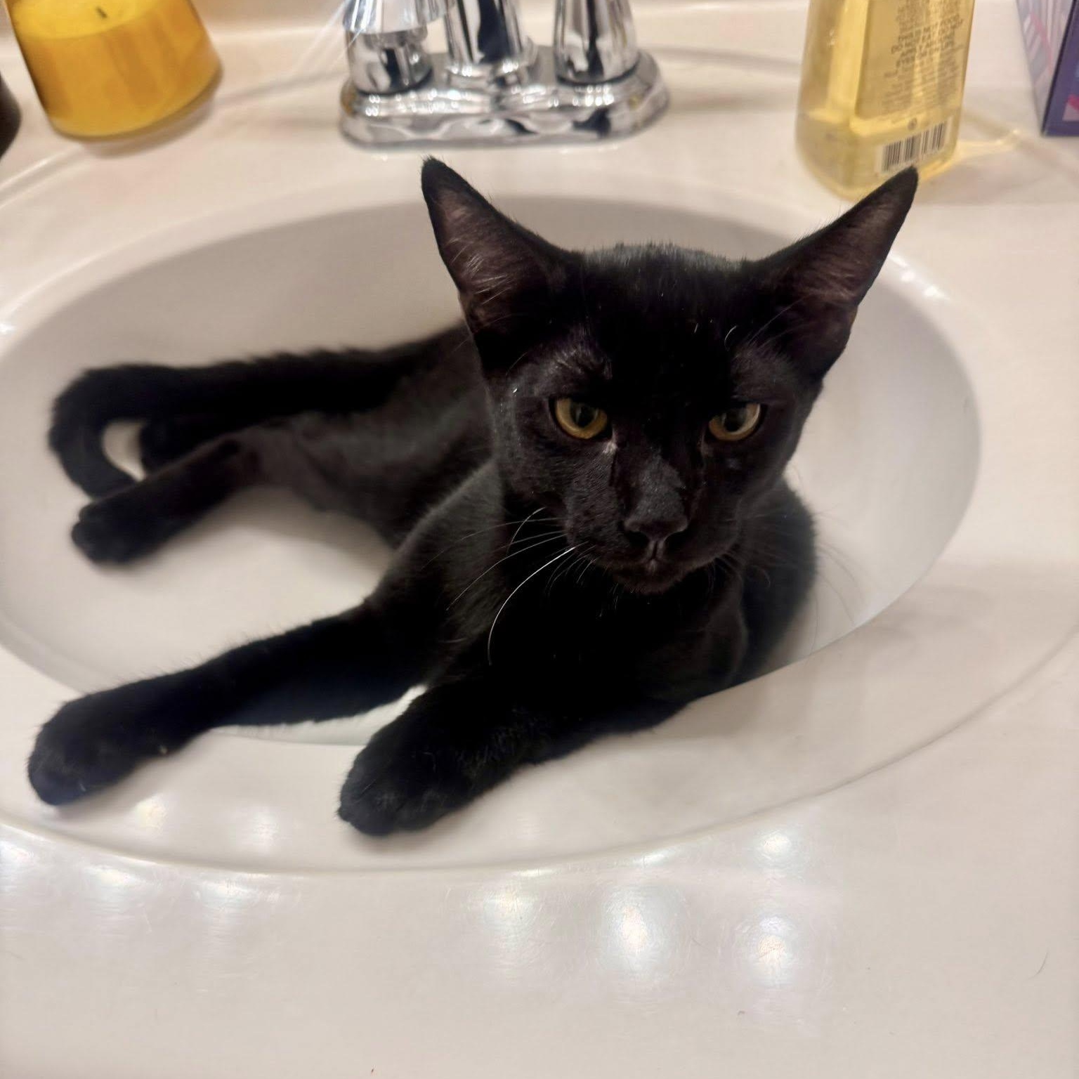Milo