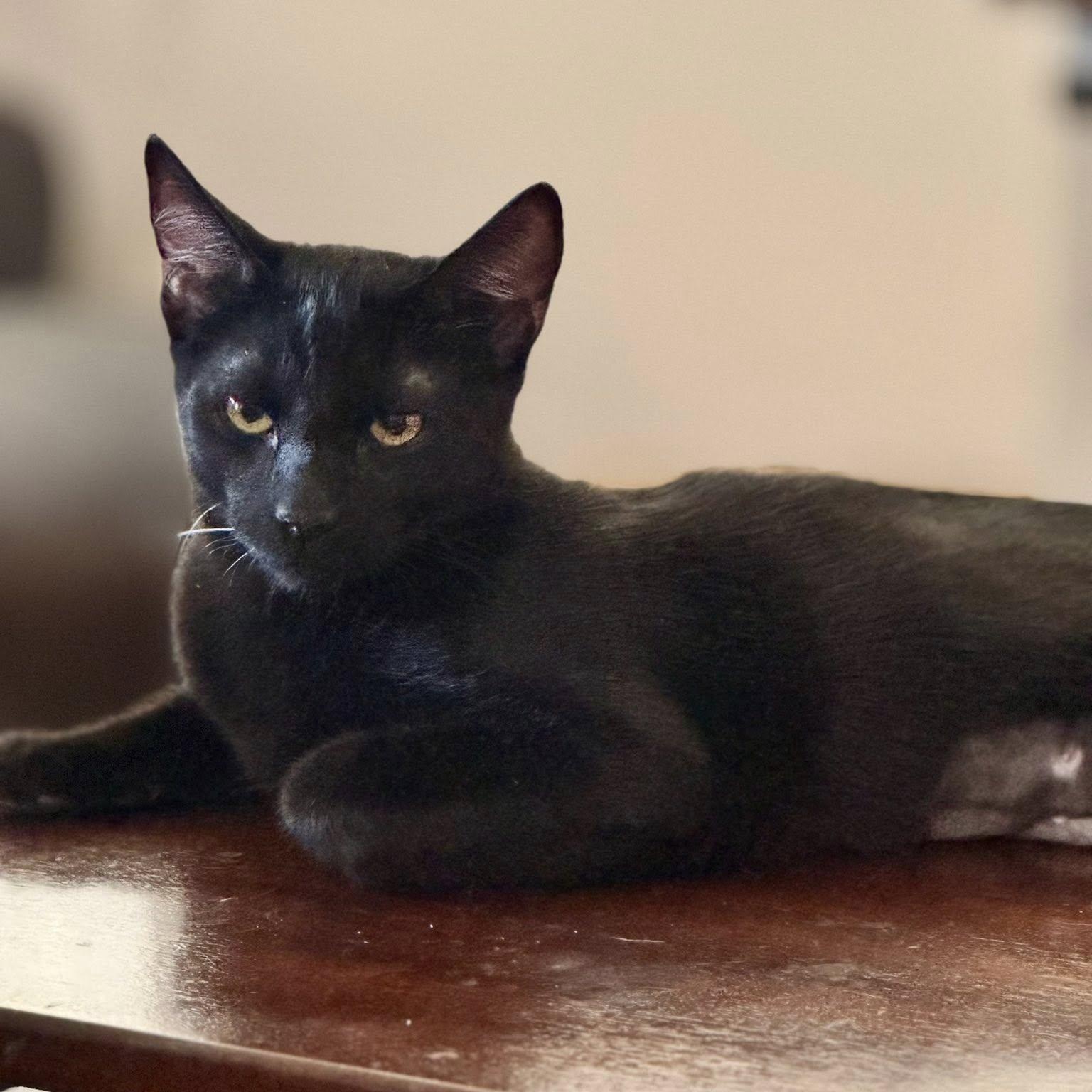 Milo