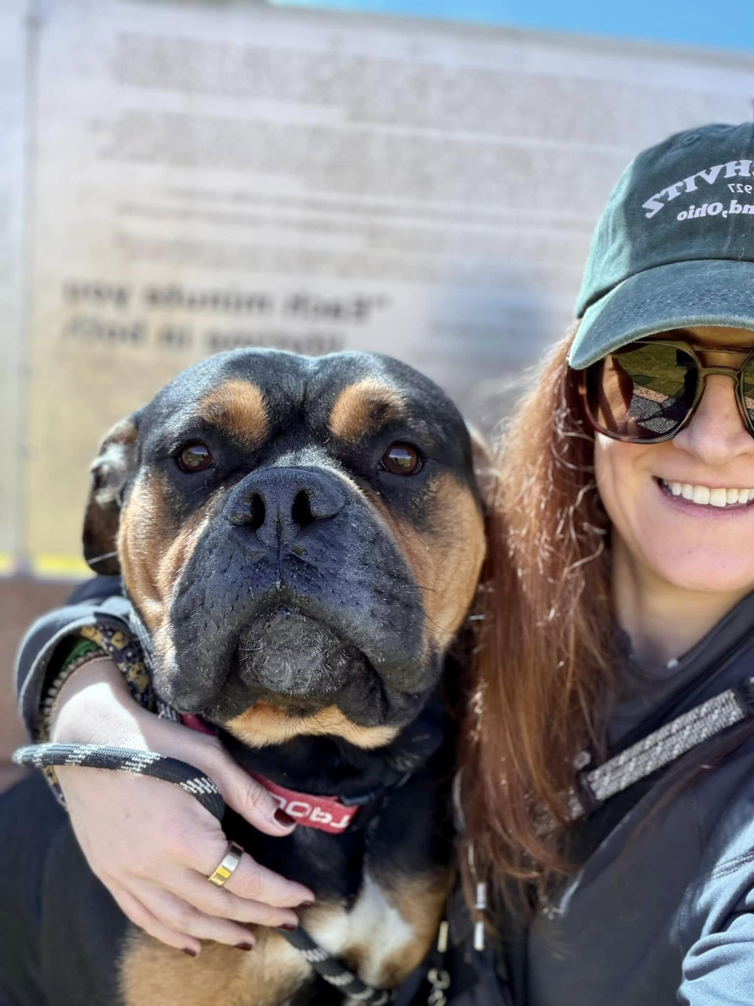 Enlarge Clyde, an adopted mixed breed in Cleveland, OH image 6/6
