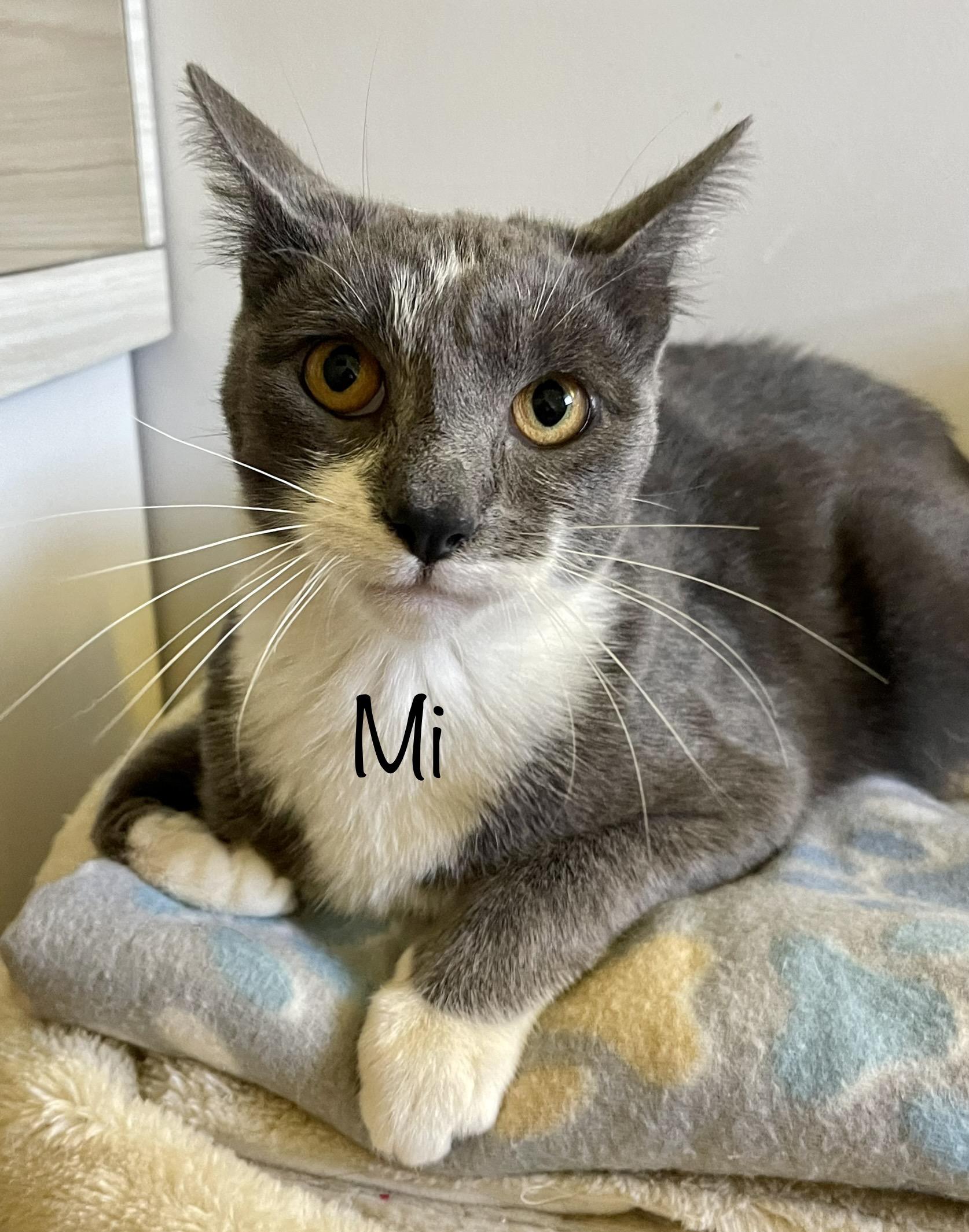 Mimi thumbnail 1