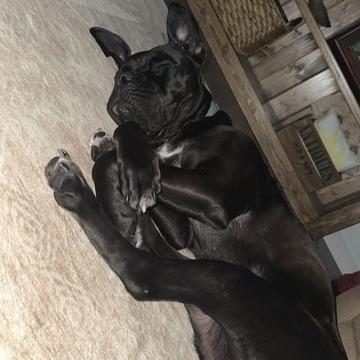 Zoey Grace 22147 — thumbnail 2