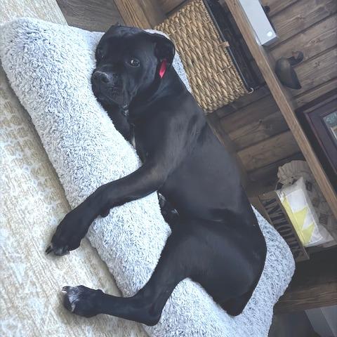 Zoey Grace 22147 — thumbnail 3