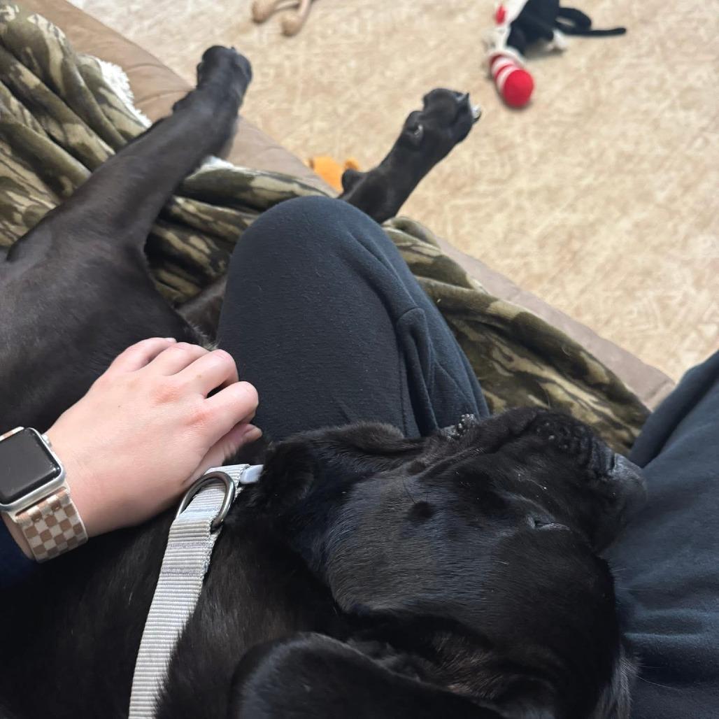 Zoey Grace 22147 — thumbnail 4