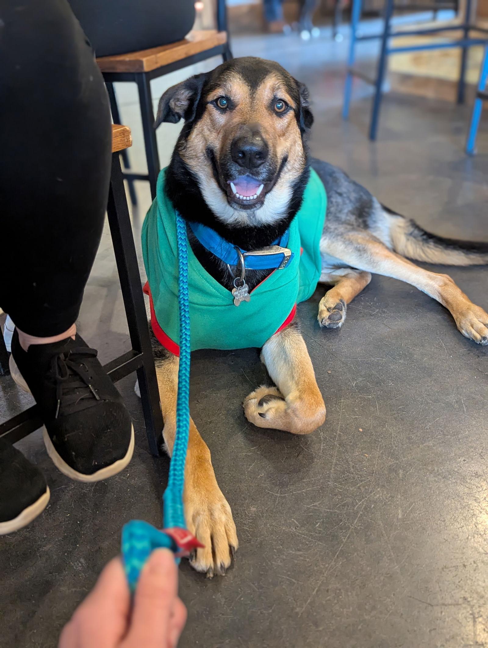 Fiyero — thumbnail 3