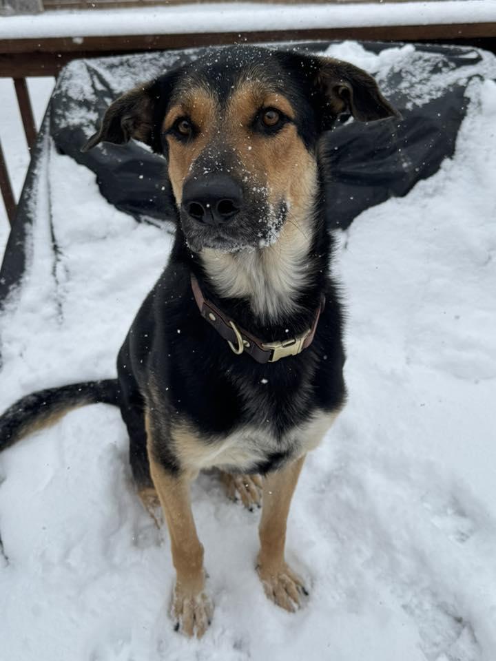 Fiyero — thumbnail 6