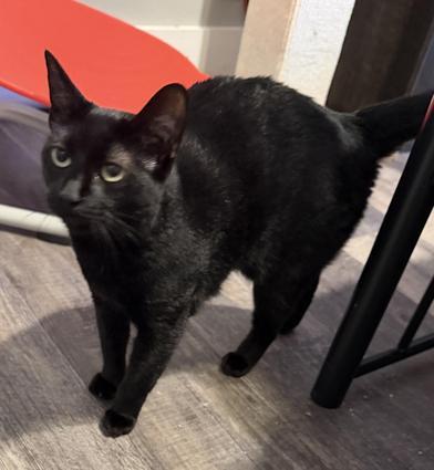 Lilly — thumbnail 5