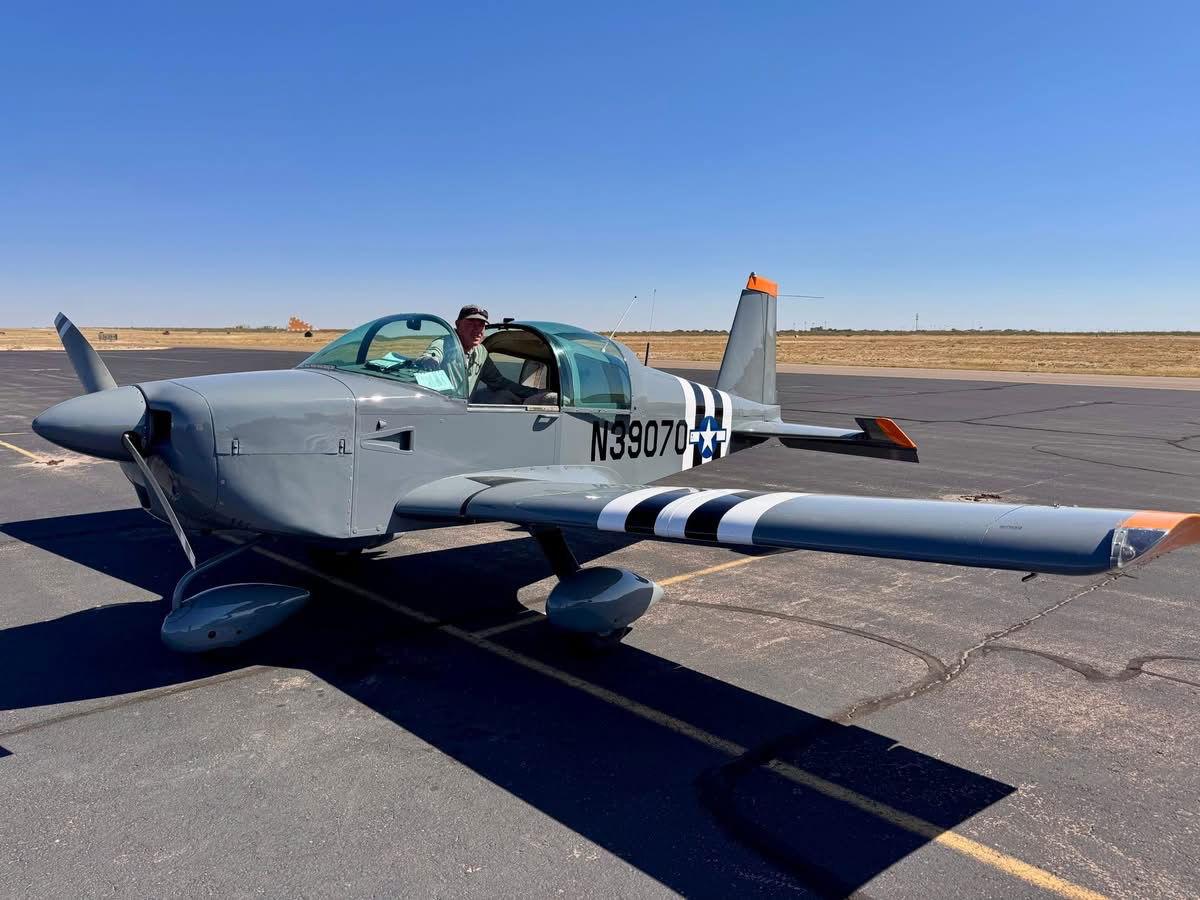 Thelma, a Adoptable Doberman Pinscher in Buffalo, MN image 3/3