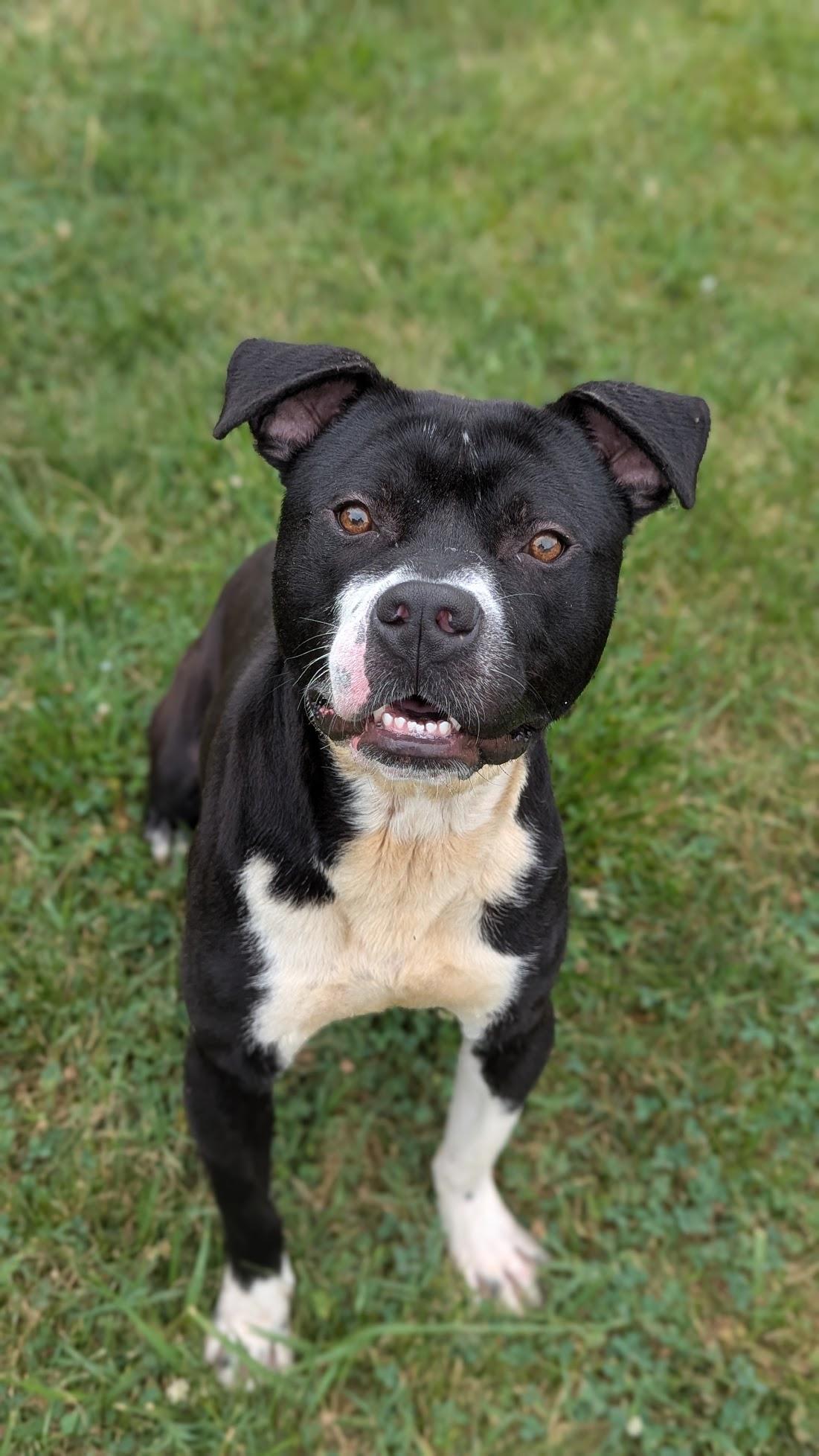 Titus, Adult Male unknown
