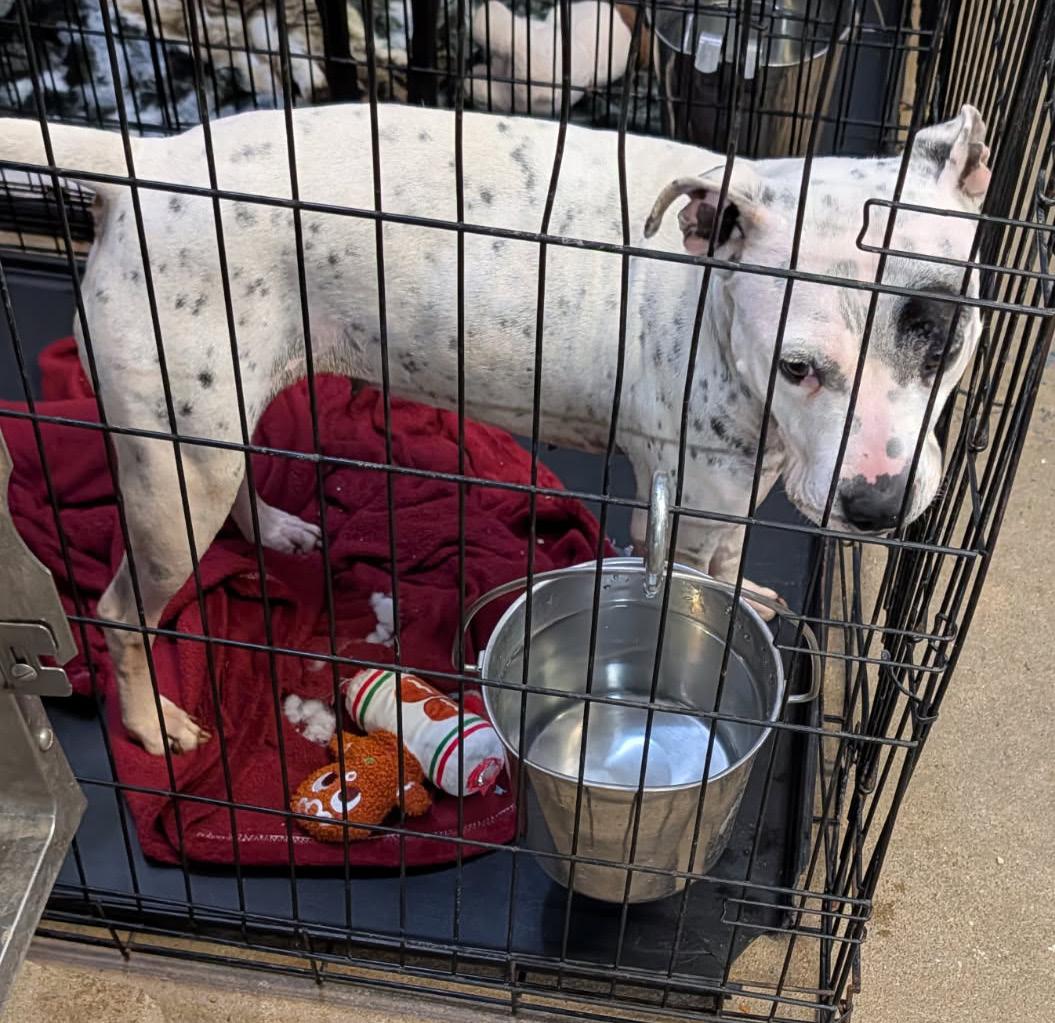 Sapphire thumbnail 2